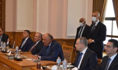 شكري يبحث مع لافروف موضوعات التعاون الثنائي بين مصر وروسيا