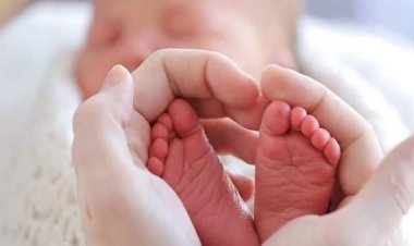 قضية نسب.. السجن المشدد 10 سنوات لسيدة بتهمة التزوير