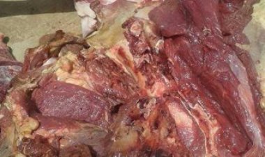 تموين الشرقية: ضبط لحوم غير صالحة للاستهلاك الآدمي داخل مطعم شهير