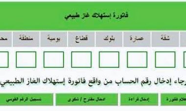 «الآن».. الاستعلام عن فاتورة الغاز بالرقم القومي 2022