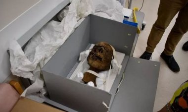 تفاصيل العثور على مومياء مصرية بمنزل فى بريطانيا