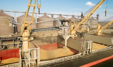 بعد توقف دام 5 أشهر.. العالم يستقبل أول شحنة للحبوب الأوكرانية غدا