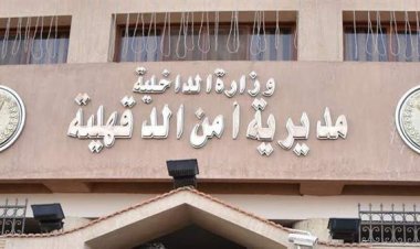 تعيين اللواء مروان حبيب مديراً لأمن الدقهلية