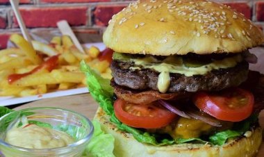 عميد زراعة القاهرة ينفى خبر خلط البرجر واللانشون بلحم الحمير والكلاب