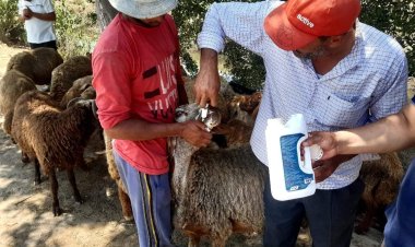 قافلة سكانية شاملة بقرية 7 التابعة للوحدة المحلية لقرية ديبونو بإدكو