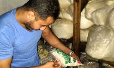 ضبط ربع طن «جبنة موتزريلا» منتهية الصلاحية بالبحيرة