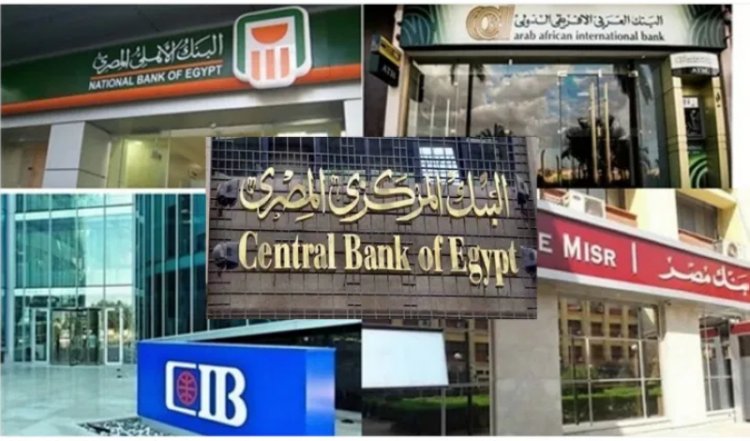 وزير المالية: 3 مليارات جنيه حوافز مالية تم إعلانها لتعميق صناعة السيارات في مصر