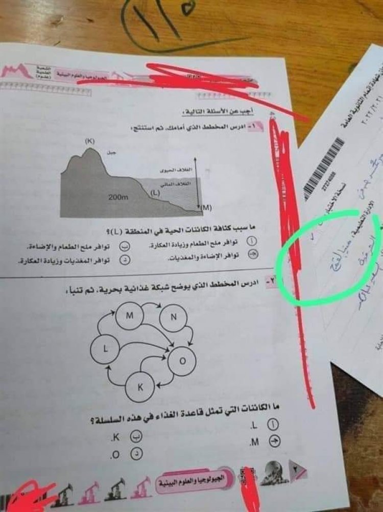 نست إخفاء اسمها.. طالبة تصور امتحان الجيولوجيا وتنشره عبر الإنترنت بالشرقية