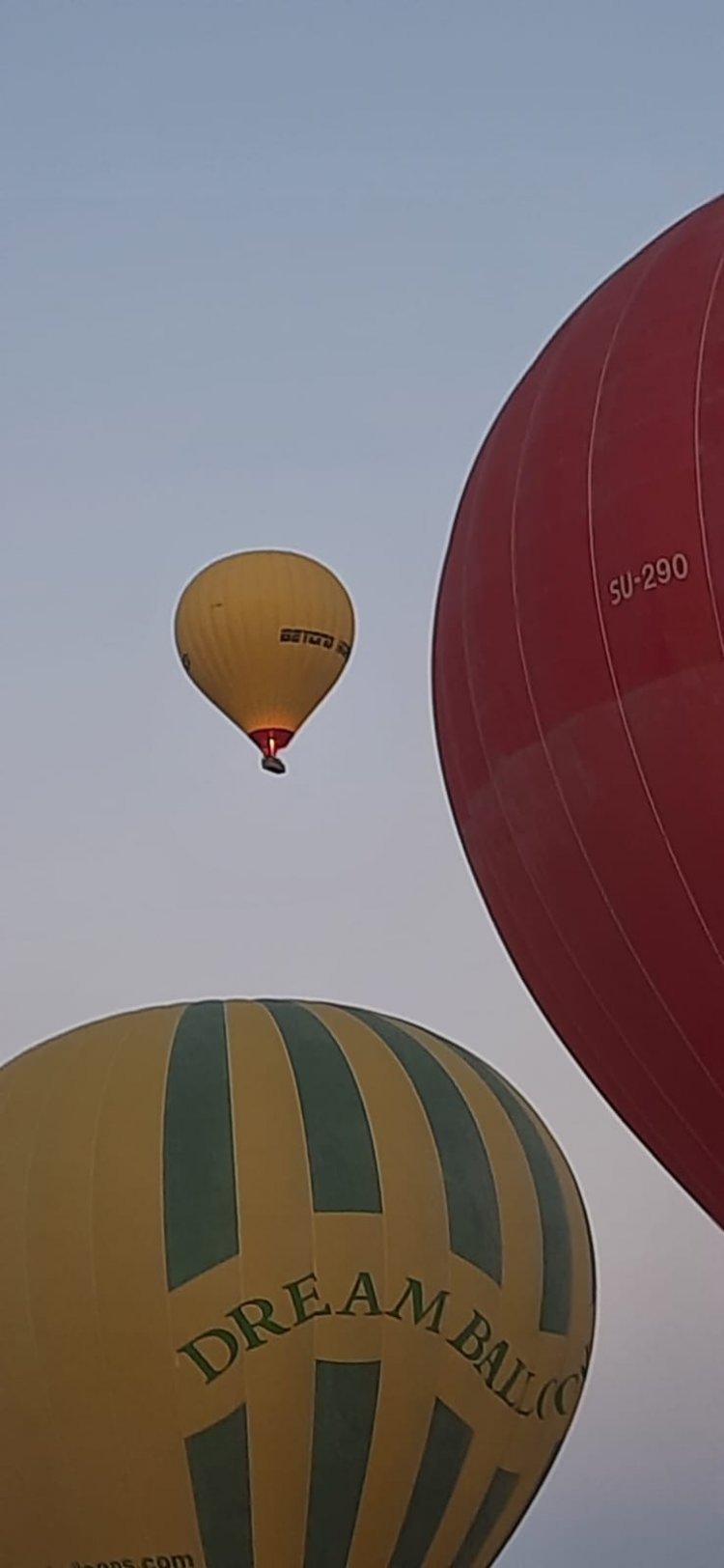 رحلات البالون الطائر تستأنف نشاطها في الأقصر بعد توقف يومين