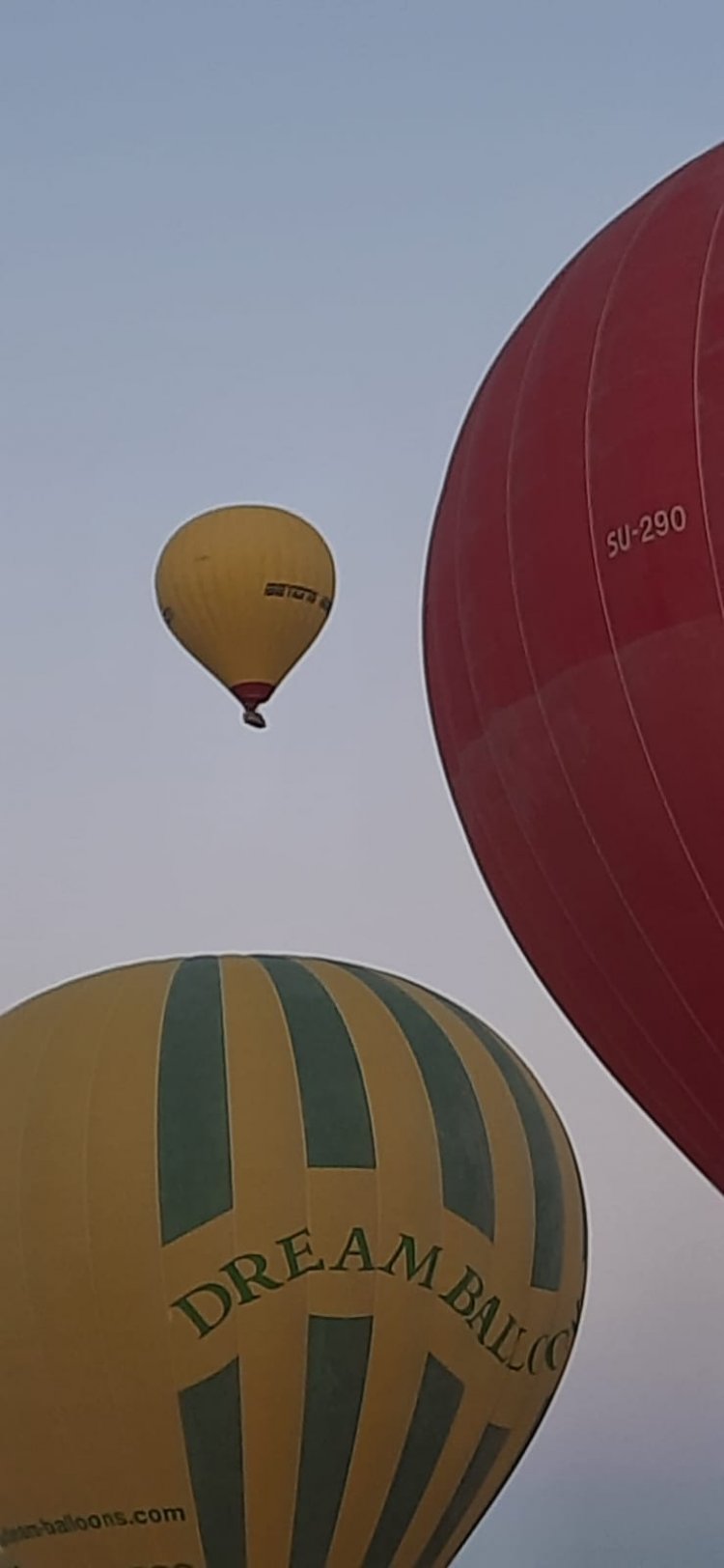 رحلات البالون الطائر تستأنف نشاطها في الأقصر بعد توقف يومين