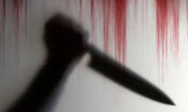 القبض على المتهمة بطعن زوجها العرفي بالوراق