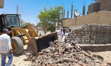 إزالة 133 حالة تعدي على أراضي الدولة غرب الأقصر
