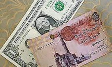 الدولار يتخطى حاجز 19جنيها فى البنوك المصرية