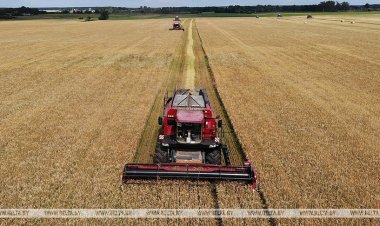 بيلاروسيا تحصد أكثر من 1.6 مليون طن من الحبوب