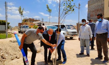 محافظ البحيرة: وزارة البيئة تقدم 600 حاوية نظافة  للمدارس