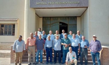 الزراعة تتابع البرامج البحثية  للمحاصيل الصيفية 