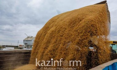 كازخستان تكشف عن كميات القمح الموجهة للتصدير