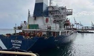 أهم بنود الاتفاق الروسي الأوكراني فى تصدير الحبوب.. ووصول أول سفينه إلى لبنان