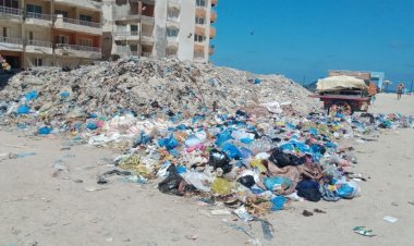 الإهمال يحاصر الهانوفيل بالإسكندرية... كلاب ضالة وتلال قمامة