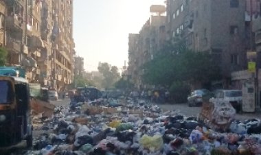 الإهمال يحاصر حى غرب شبرا الخيمة.. تلال قمامة والكلاب الضالة