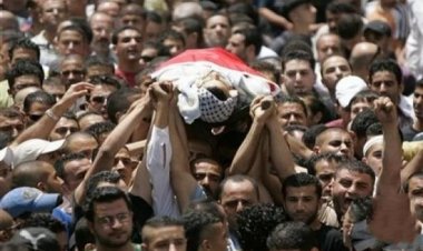 «الأزهر» يُدين الإرهاب الصهيوني على قطاع غزة ويطالب بوقف الانتهاكات