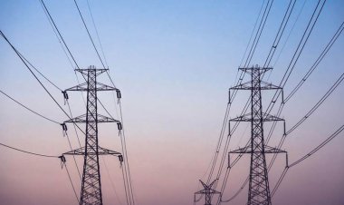 قطع الكهرباء عن بعض المناطق بـ«شمال الدلتا» لمدة أسبوع