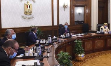 رئيس الوزراء: الاستعداد لإطلاق المبادرة الرئاسية للتشجير «100 مليون  شجرة»