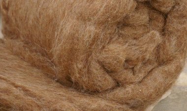 نمو صادرات الصوف في كازاخستان