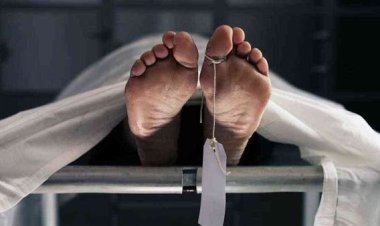 ابنه اكتشف الجريمة.. العثور على موظف مقتول داخل شقته ببولاق الدكرور