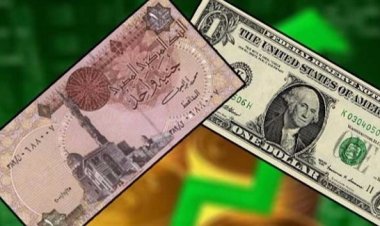 رسمياً..ارتفاع الدولار وباقي العملات الأجنبية أمام الجنيه