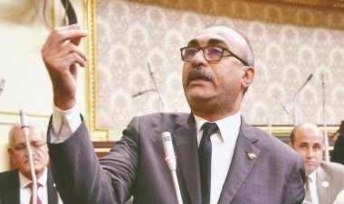 النائب إيهاب منصور : من الضرورة إجراء تعديل وزاري للمجموعة الاقتصادية