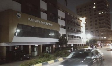 محافظة القليوبية تبدأ في ترشيد استهلاك الكهرباء بمبنى الديوان العام.. وتخفيف الإضاءة بالميادين والشوارع