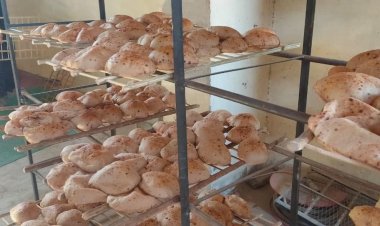 ضبط 14 مخالفة لمخابز غير مطابقة للمواصفات غرب الأقصر