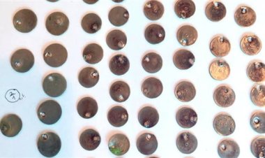 ضبط 97 عملة أثرية بحوزة أحد المسافرين في مطار الأقصر الدولي