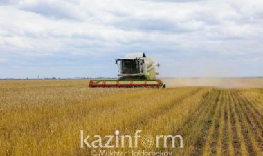 زيادة الإنتاج الزراعي بنسبة 2.1٪ في كازاخستان