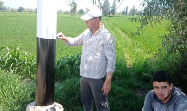 بالصور.. رئيس مدينة مسير يشارك في أعمال تجميل الشوارع بكفر الشيخ