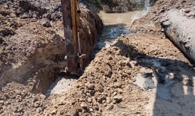 ضمن الموجة 20.. إزالة 72 حالة تعد في 12 مركزا بالبحيرة