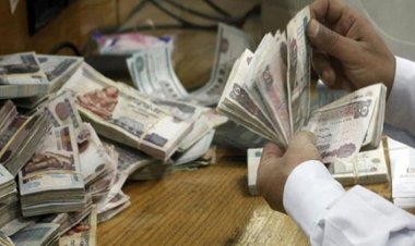 ضبط موظف حكومي وزوجته لاستيلائهما على أموال ضخمة بالقاهرة