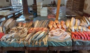 رئيس الوزراء: إنشاء حلقة سمك جديدة بالإسكندرية أكبر 4 أضعاف من القديمة