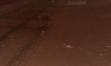 صورة| رئيس مدية قوص ينفي انفصال 3 عربات قطار.. ويؤكد: المحطة فارغة