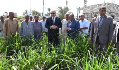 محافظ قنا يتابع أول حقل إرشادي لزراعة قصب السكر