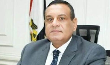 حبس السائق المتسبب في حادث وزير التنمية المحلية