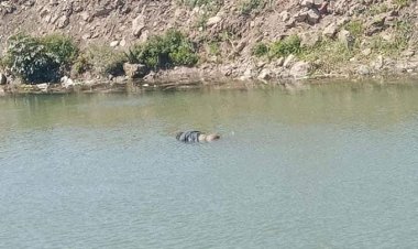 فريق بحث لكشف غموض العثور على جثة سيدة مكبلة بالحبال داخل ترعة بمنطقة منشأة القناطر