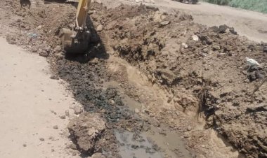 إزالة 107 حالة تعدٍ ضمن الموجة 20 بالبحيرة