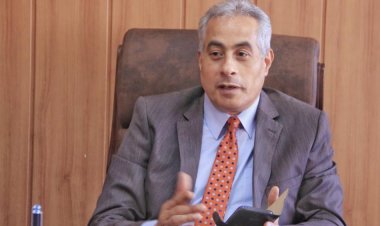 القوى العاملة: التفتيش على 336 منشأة وتحرير 161 محضرا بالإسكندرية