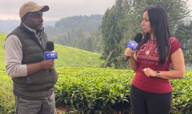 «زووم إفريقيا» يستعرض قصة مذبحة رواندا وحديقة الغوريلا