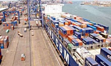 نشاط كبير في حركة الملاحة والتداول بالهيئة العامة لميناء الإسكندرية