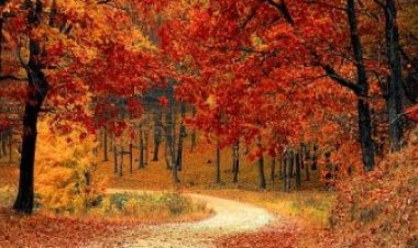 شهر على انتهاء فصل الصيف.. وبداية الخريف الجمعة 23 سبتمبر