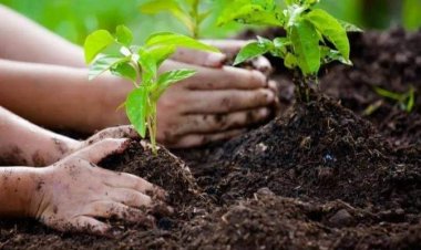 مديرية الرياضة بالبحيرة تدشن فاعليات مبادرة «اتحضر للأخضر» بجميع مراكز الشباب