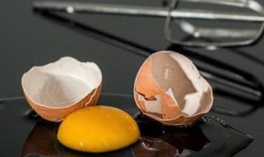 شركة صينية تعاقب موظفيها: «اللي ما حققش التارجت هياكل بيض ني أو خردل».. فيديو